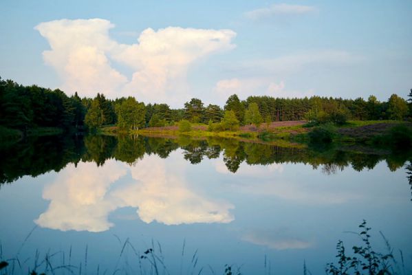 ein Bild von einem See in der Lüneburger Heide